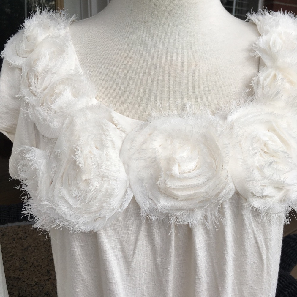 New Directions Petite Creamy Top Lot, Two PXL Tops - Picture 12 of 16